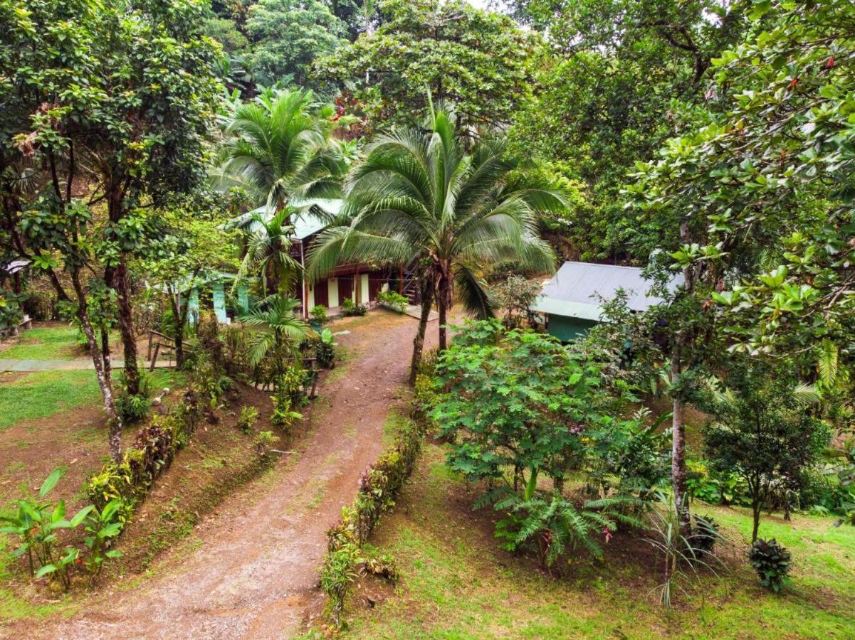 Sukia Hostel Drake Bay Zewnętrze zdjęcie