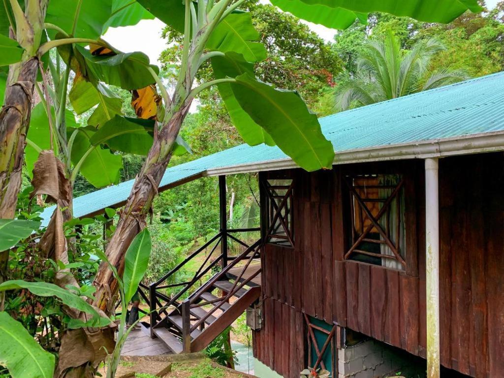 Sukia Hostel Drake Bay Zewnętrze zdjęcie