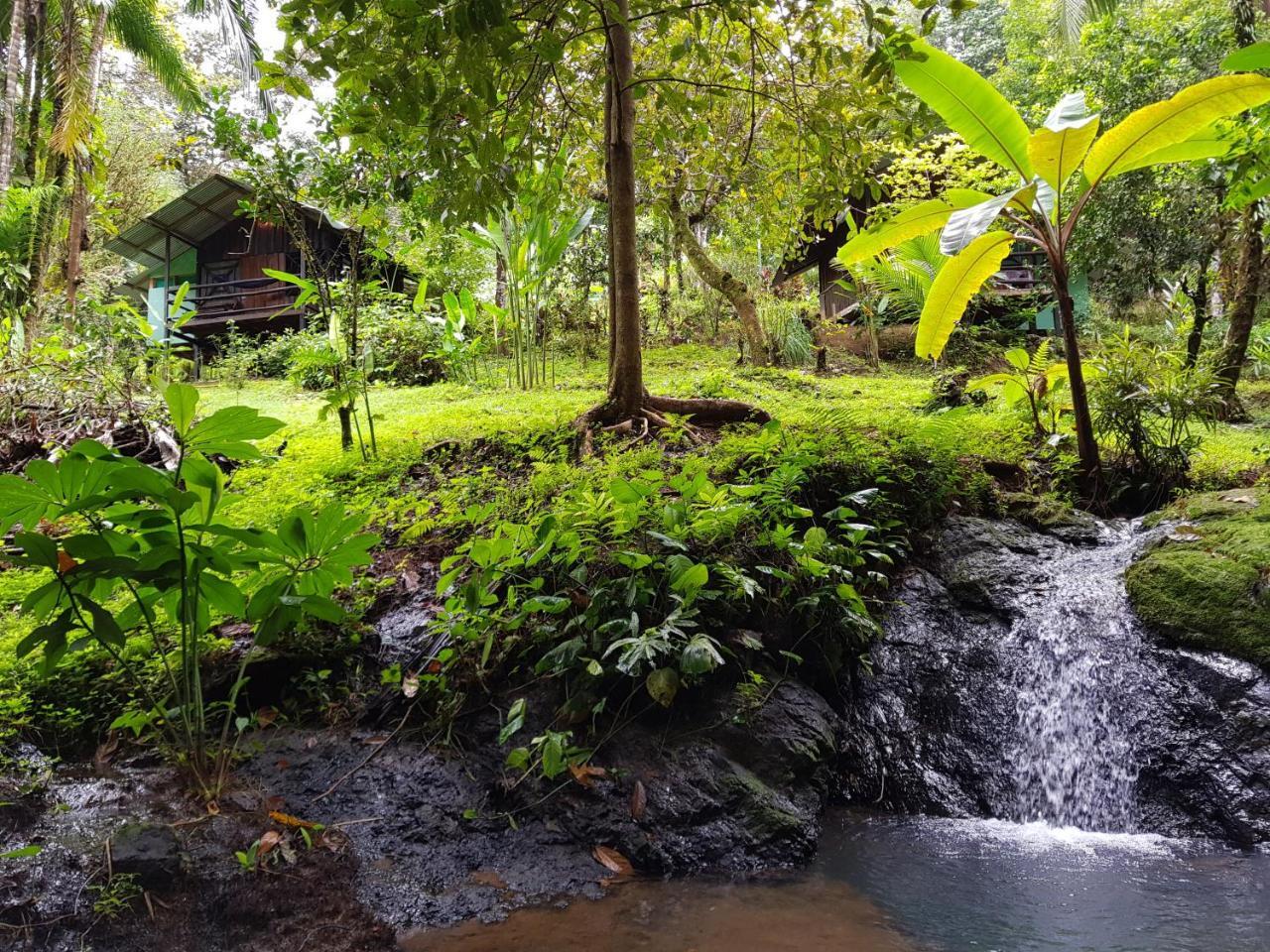 Sukia Hostel Drake Bay Zewnętrze zdjęcie